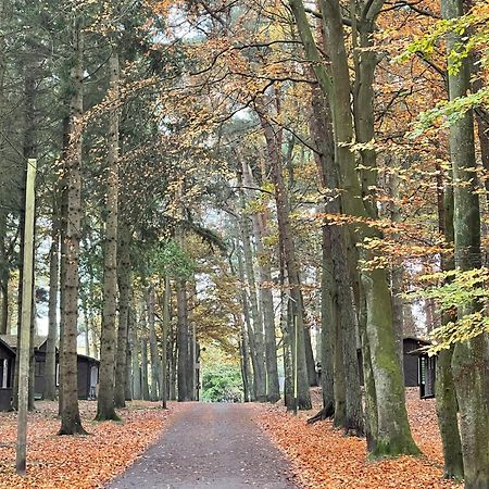 Feriendorf Fynnus Dranske Bagian luar foto